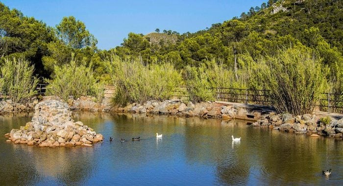 Paraje de La Toconera
