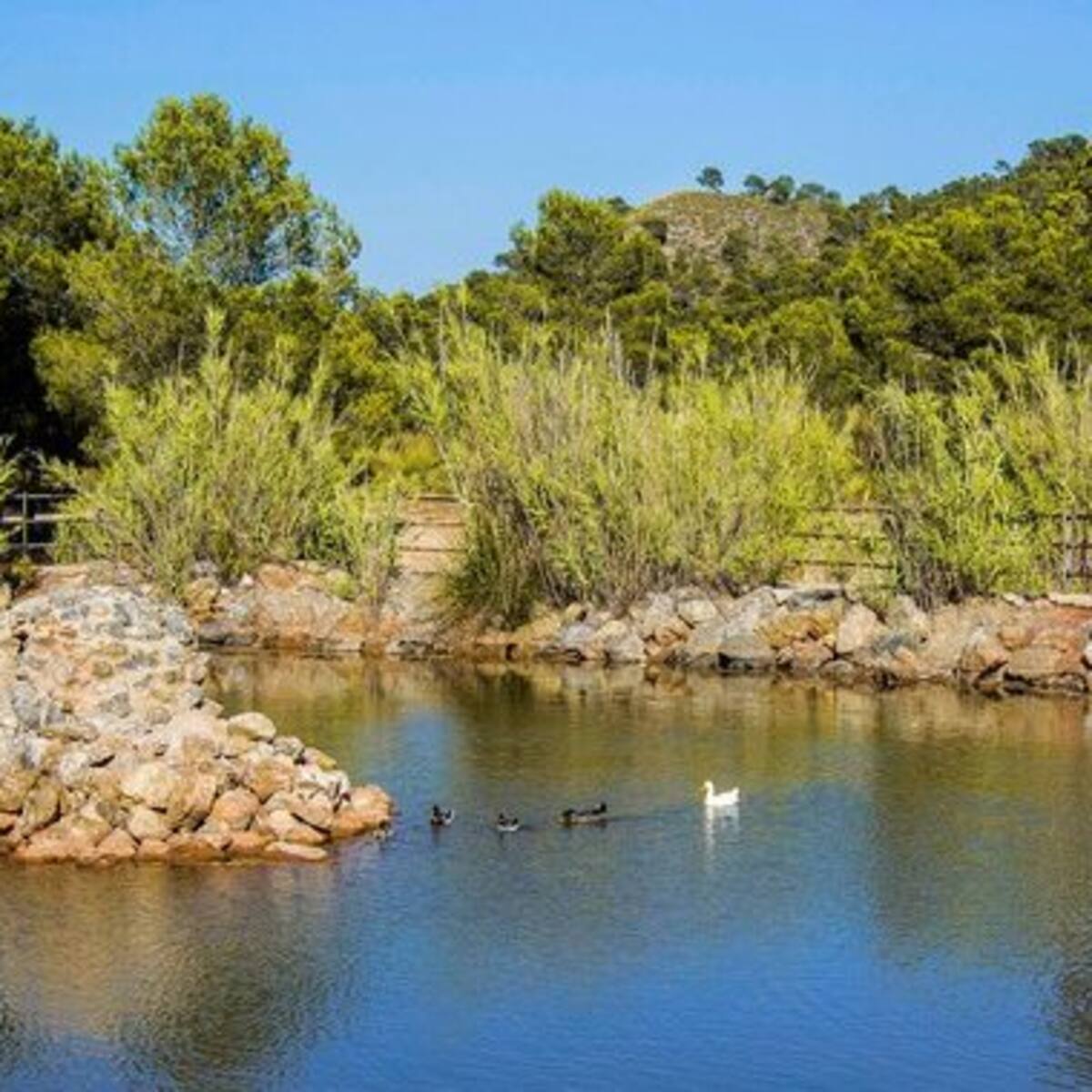 El paraje de “La Toconera” de Caudete, preparado para unas “pascuas responsables”
