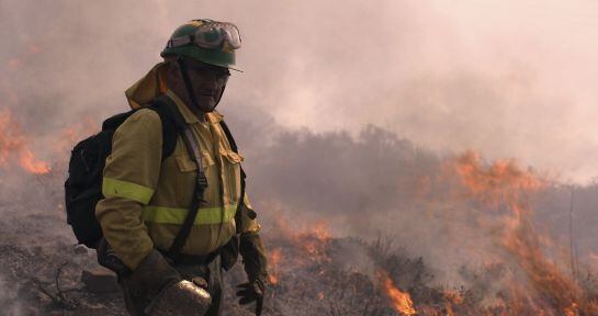 Brigada forestal en la serie &#039;La vida en llamas&#039;