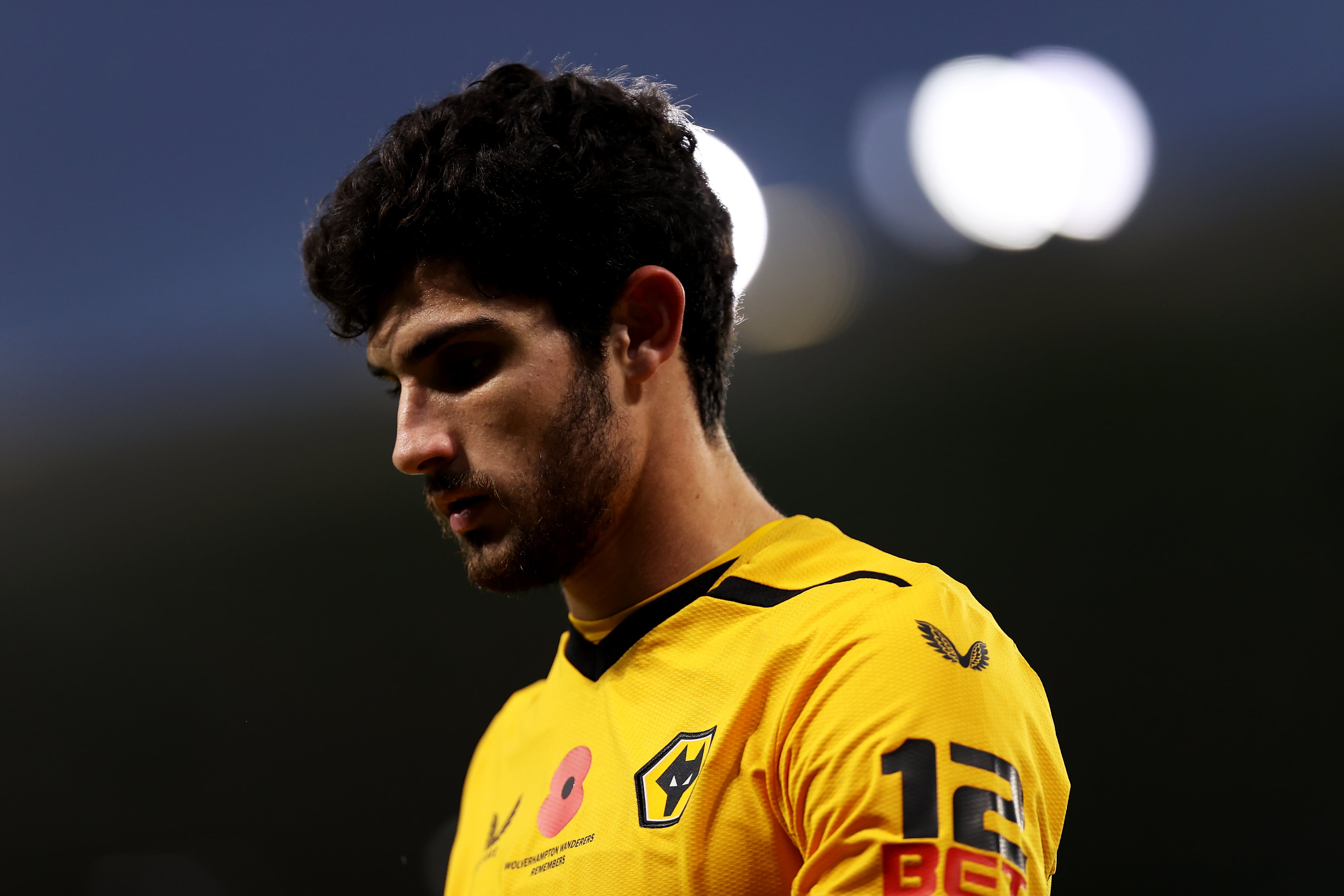 Gonçalo Guedes