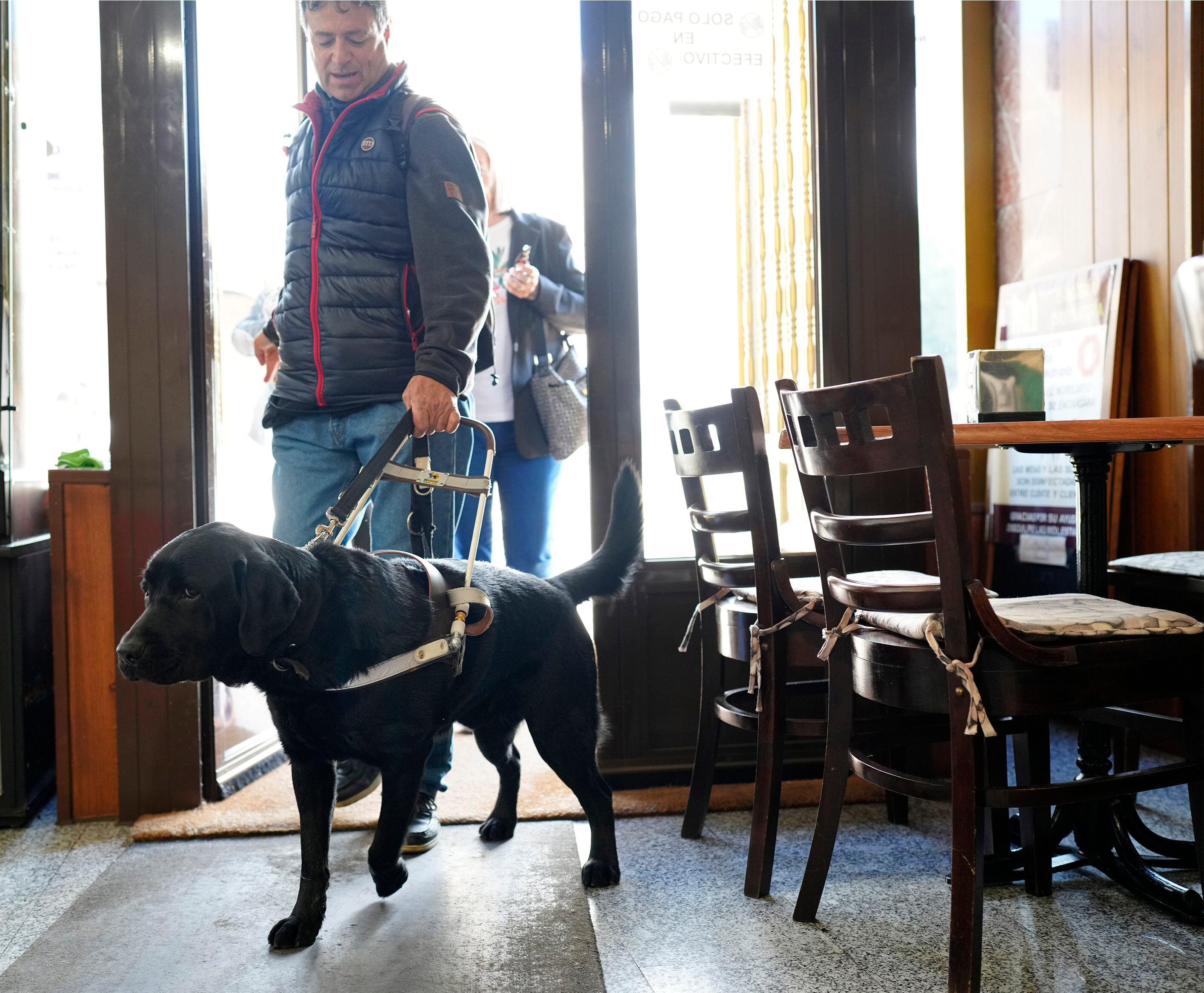 El perro guía de la ONCE en Palencia reclama su derecho de acceso a establecimientos de restauración