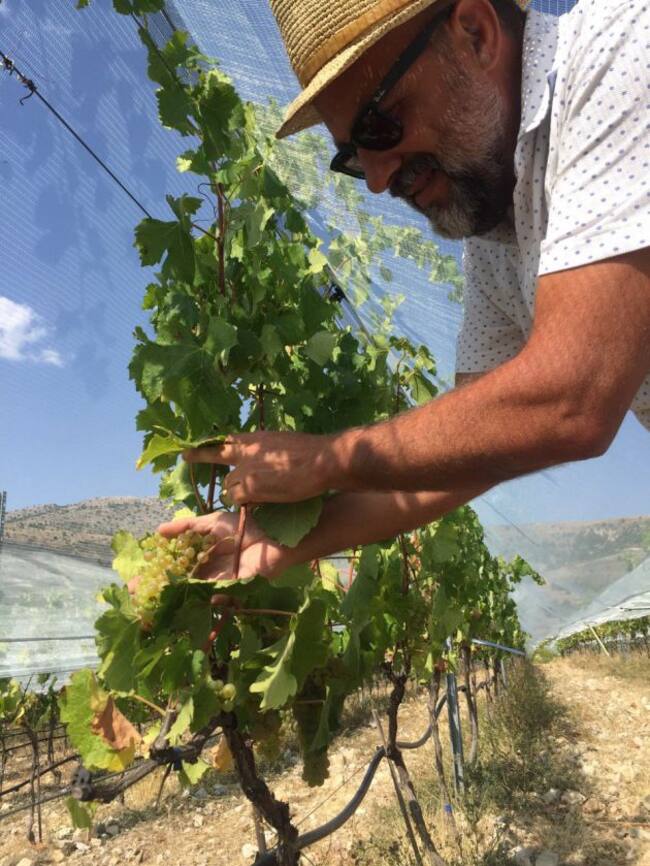 Visitamos los viñedos 'Alto de Inazares'