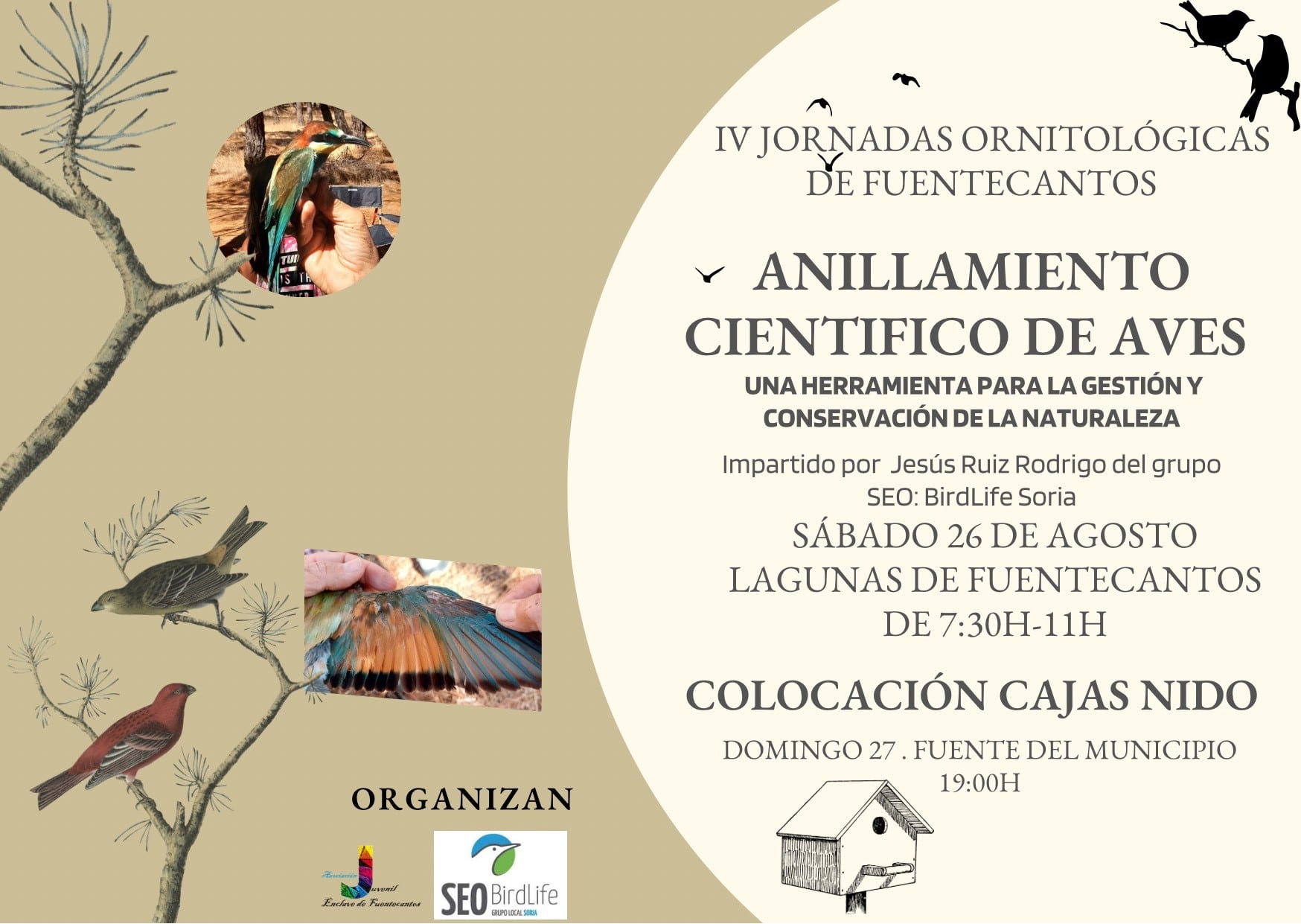 Jornada de anillamiento de aves.