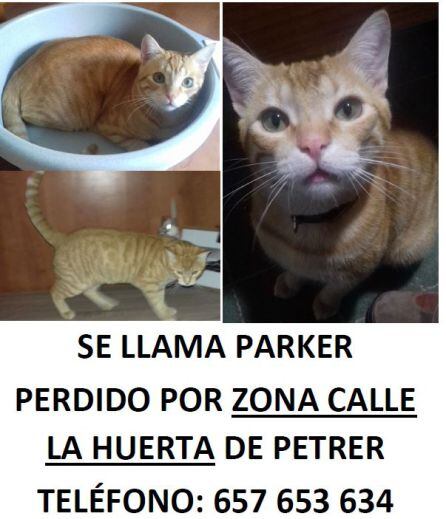 Parker desapareció hace unos días