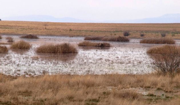 Imagen de las Lagunas de Puebla de Beleña.