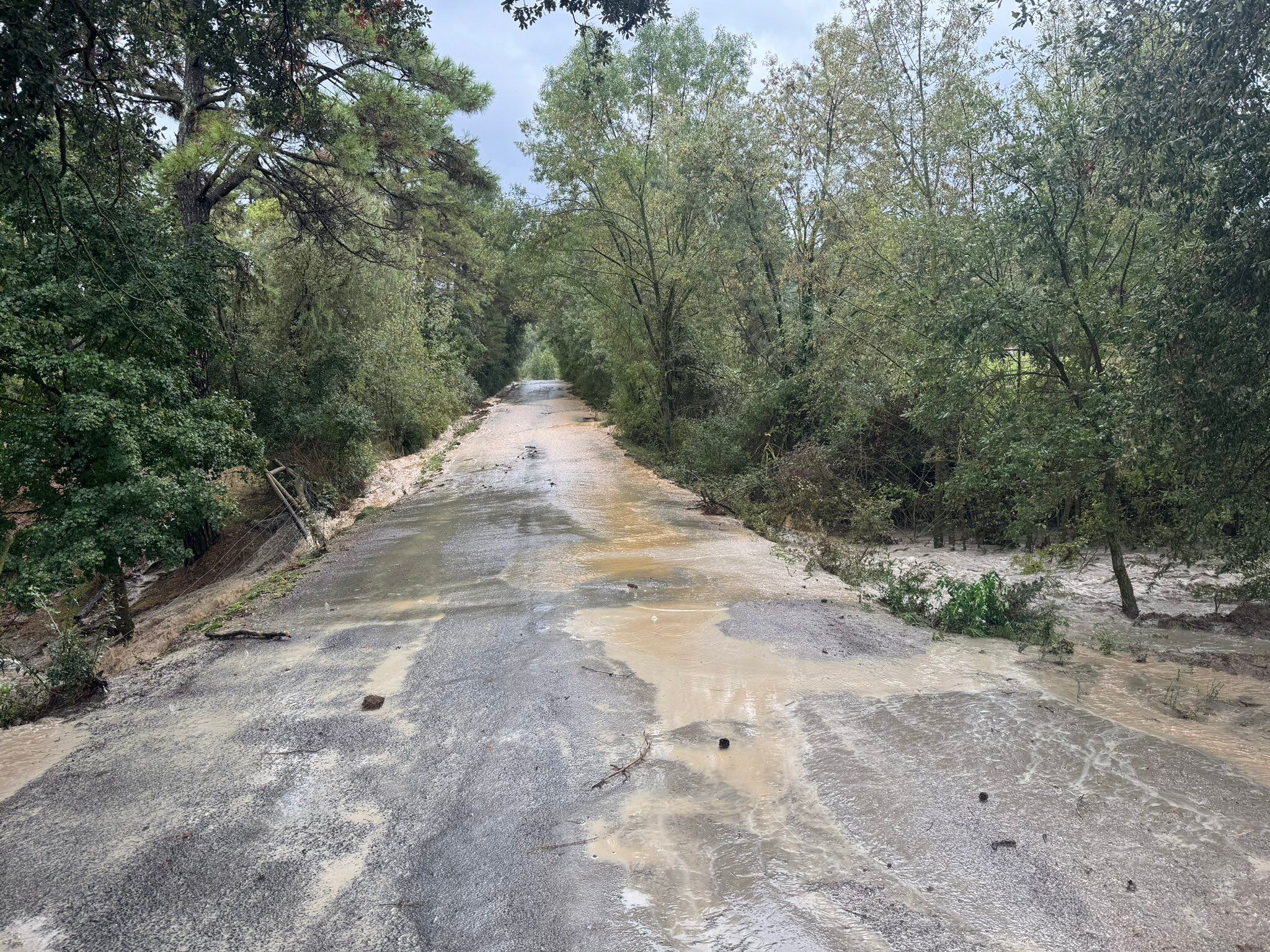 La mayor parte de las afecciones se registran en caminos y accesos a fincas. Foto: Zona Zero Pirineos