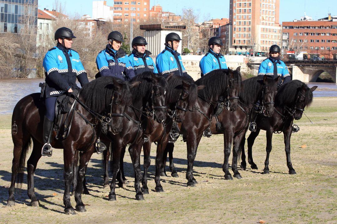 Presentación de Policía ecuestre el 10 de marzo de 2013