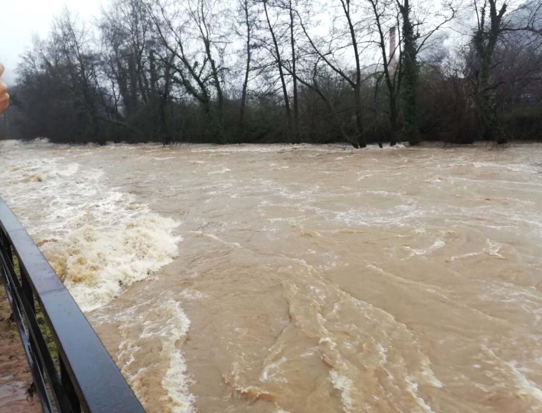 El río Nalón se desbordó en diversos puntos de su curso provocando cuantiosos daños en varios municipios.