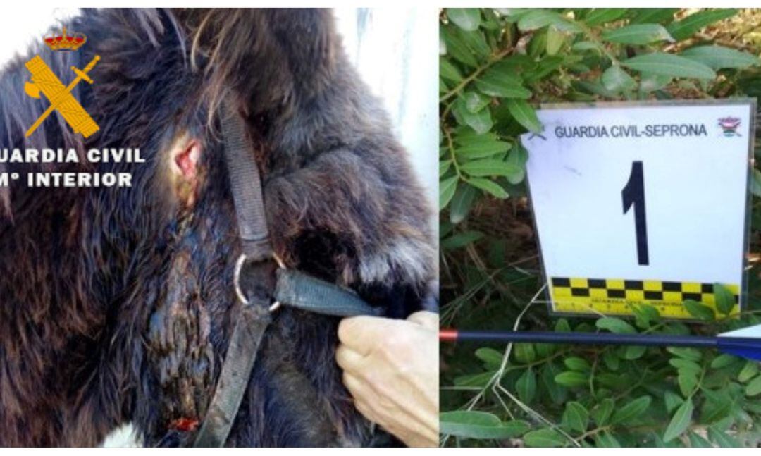 Imagen de la Guardia Civil