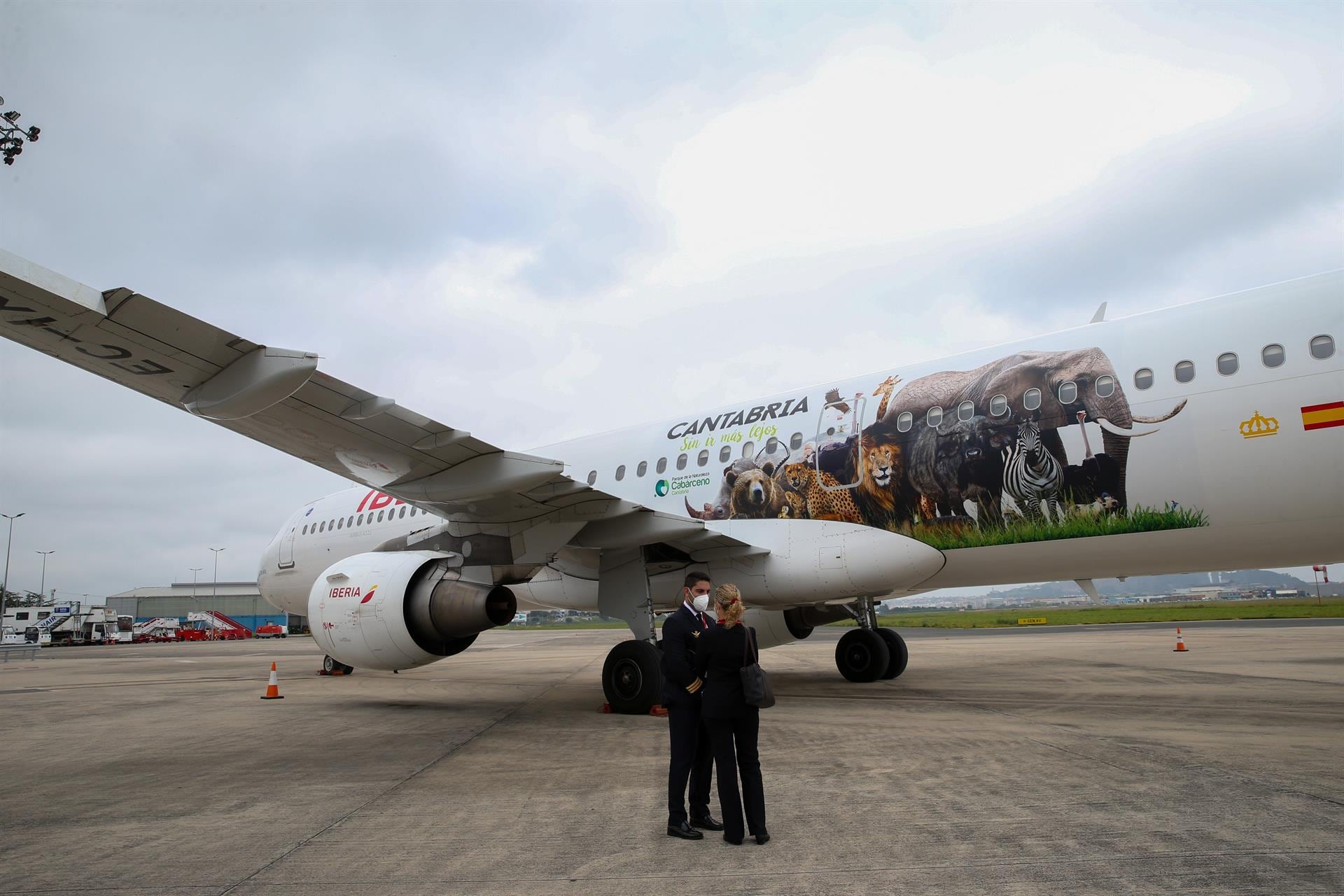 El avión de Iberia rotulado con la imagen de animales del Parque de Cabárceno en el l aeropuerto Seve Ballesteros de Santander. - LARA REVILLA/GOBIERNO DE CANTABRIA - Archivo