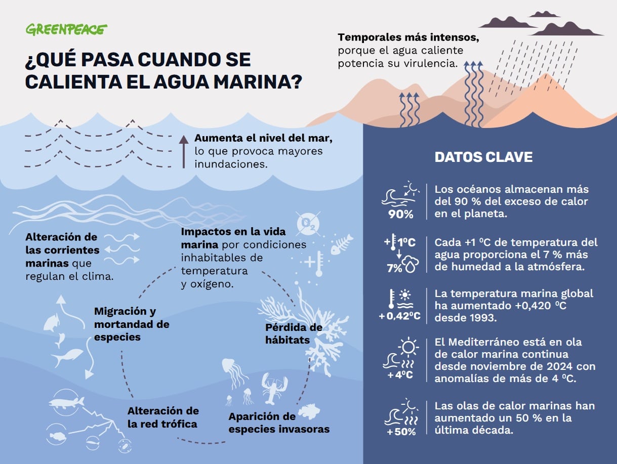 ¿QUÉ PASA CUANDO SE CALIENTA EL AGUA MARINA?