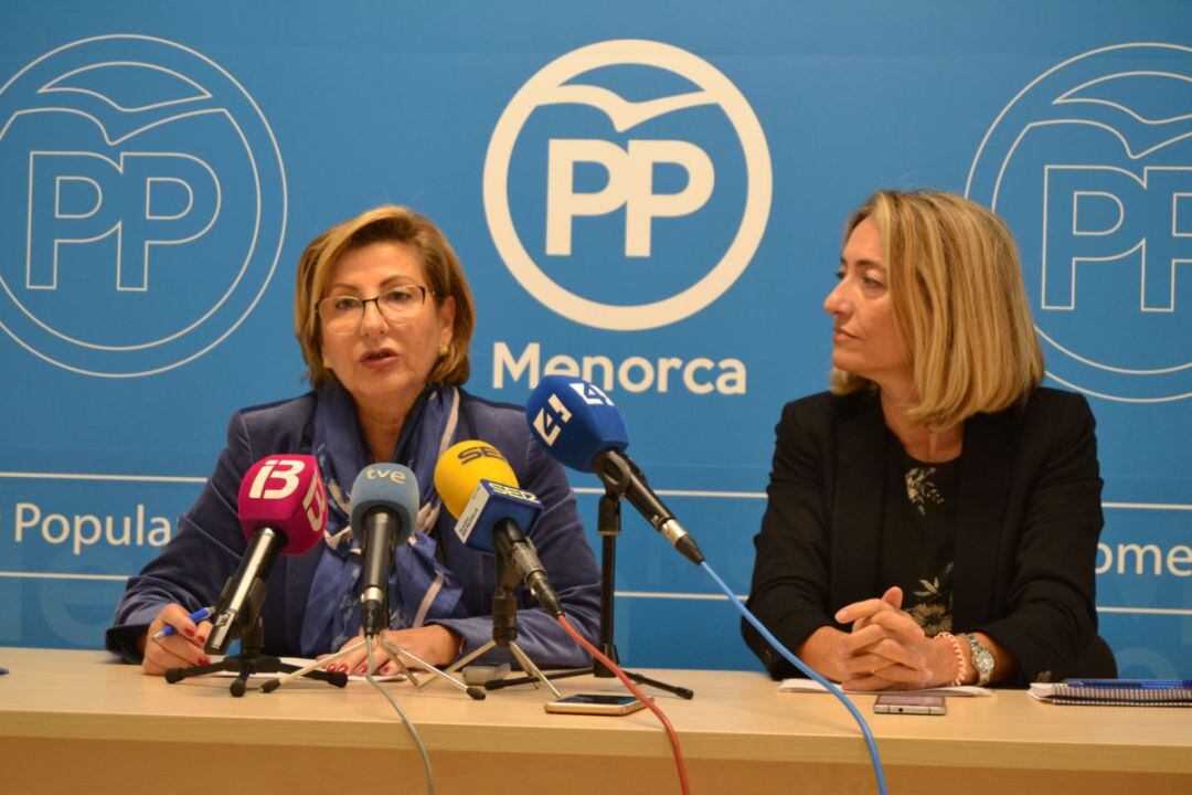 El PP vol explicacions oficials sobre la no aprovació del PTI.