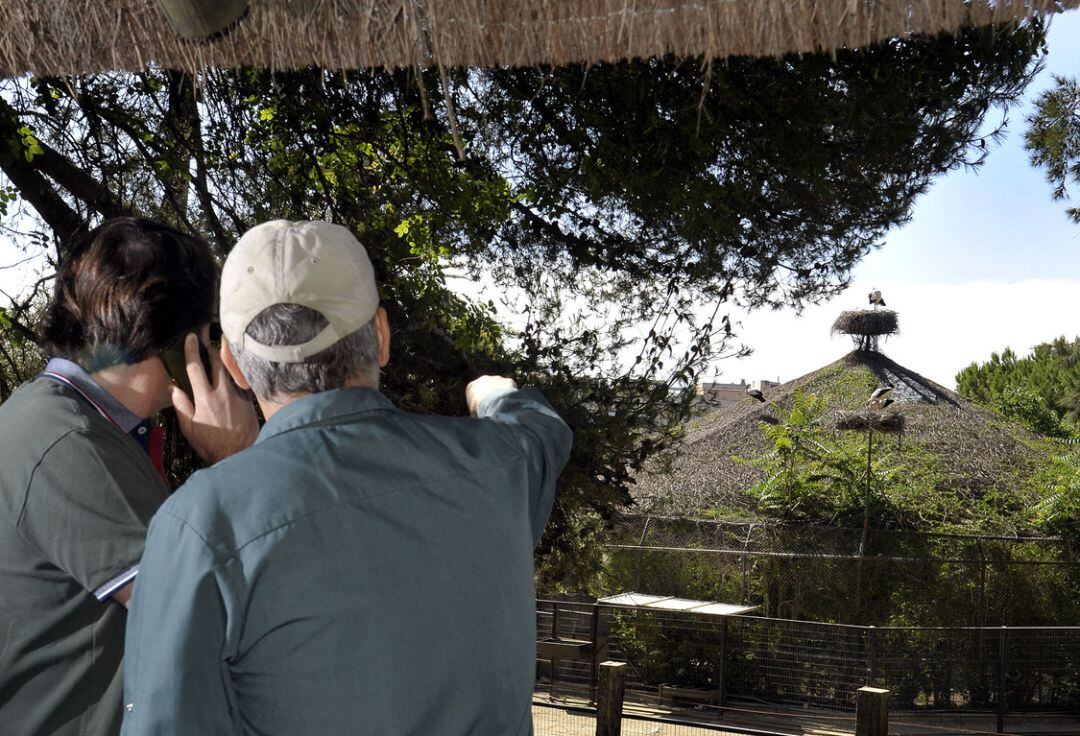 Dos trabajadores en el Zoo de Jerez