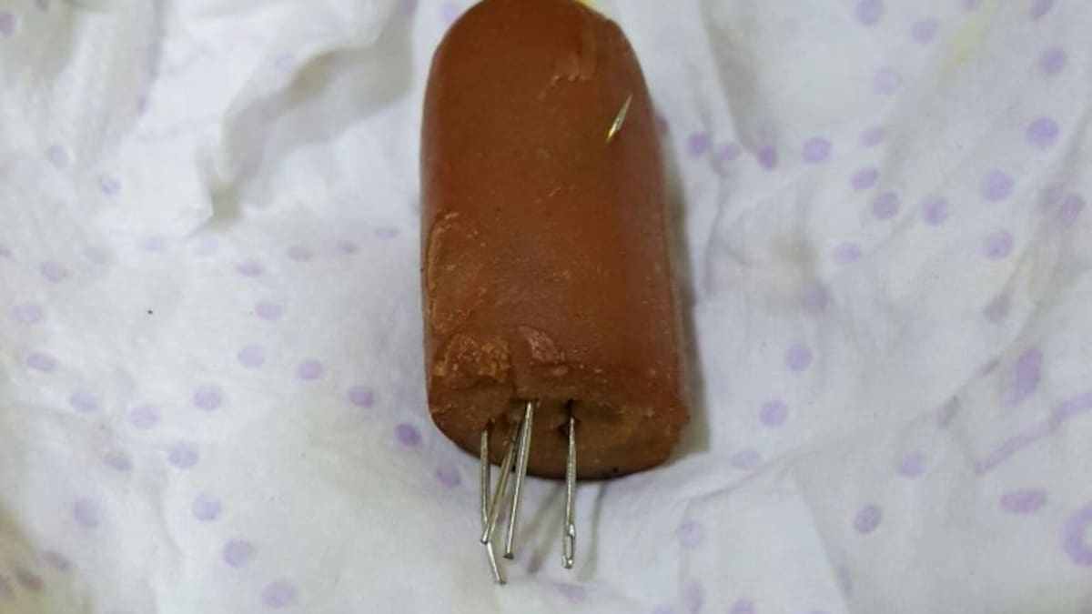 Hallan alimentos con objetos punzantes para herir a las mascotas en las calles de Jaén