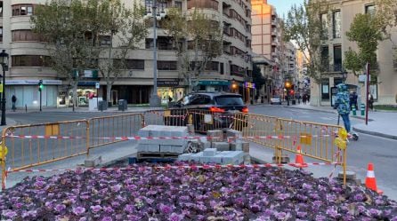 La bandera se instalará en la punta del parque