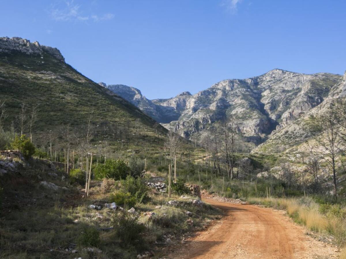 Finalizan las actuaciones de regeneración en Marxuquera tras el incendio forestal
