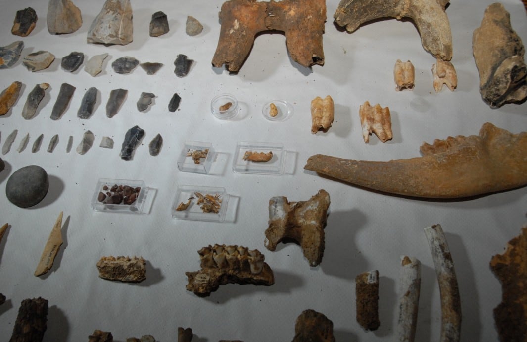 Algunos de los hallazgos realizados a partir de 2004 en la Cueva de Santimamiñe. / Cueva de Santimamiñe