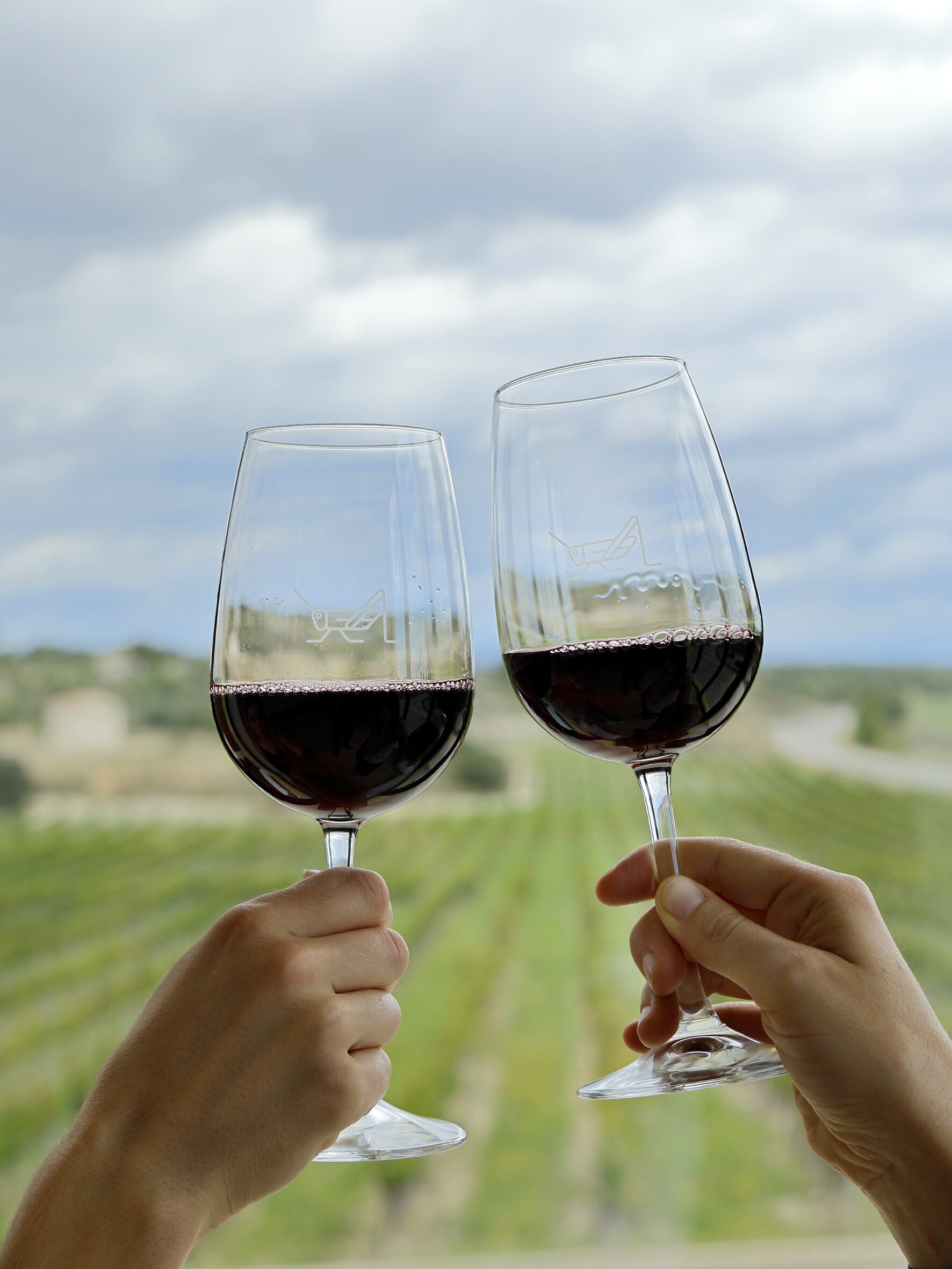 Visitas Bodegas El Grillo y la Luna