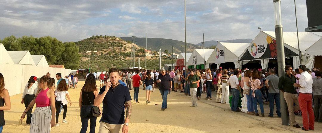 Jiennenses y visitantes disfrutan de la Feria de San Lucas en el Recinto Ferial.