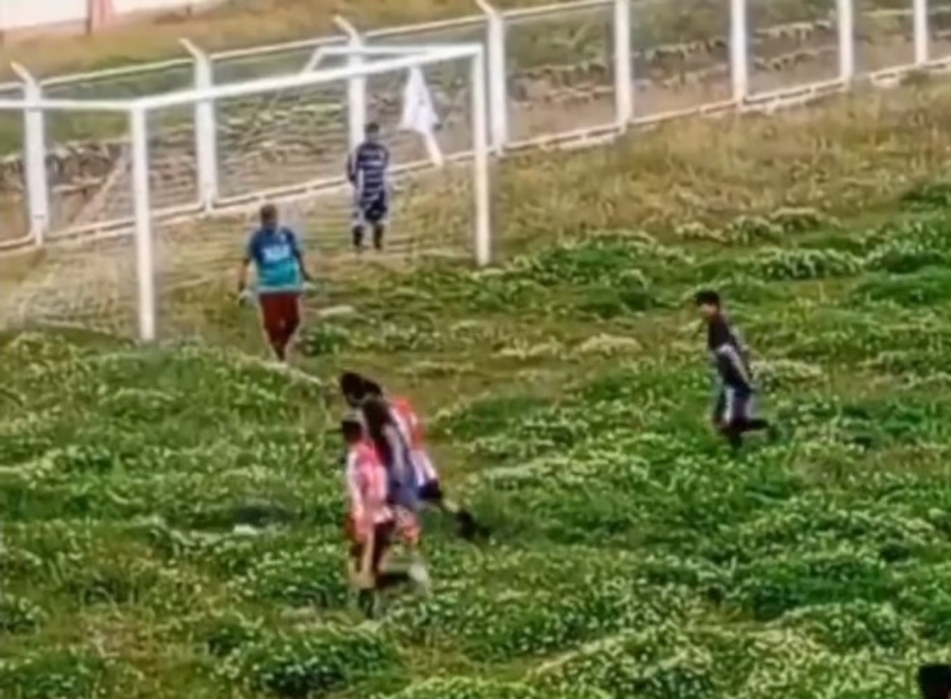 Imagen del vídeo viral sobre el terrano de juego e la Copa Perú