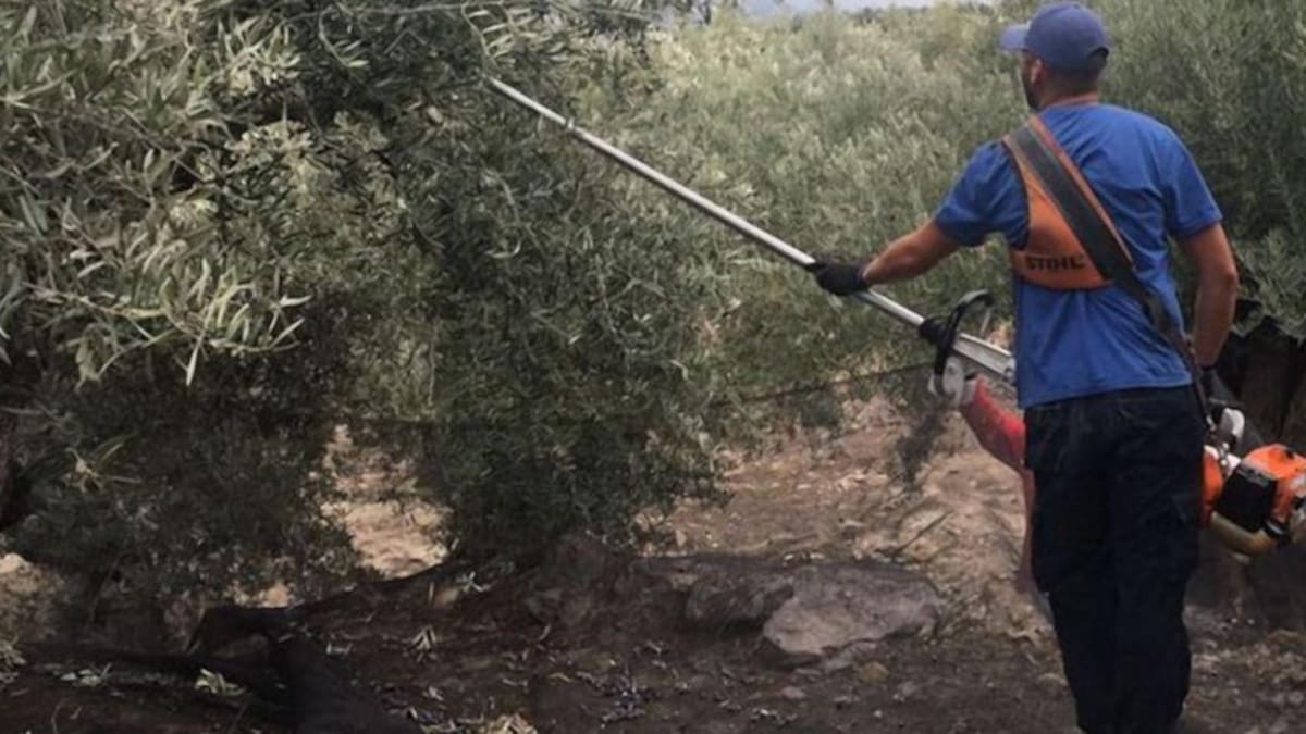 Cristóbal Cano, secretario general UPA Jaén: "A pesar del IPC negativo la subida del jornal es del 1%"