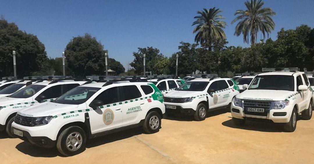 Vehículos de la Policía andaluza.