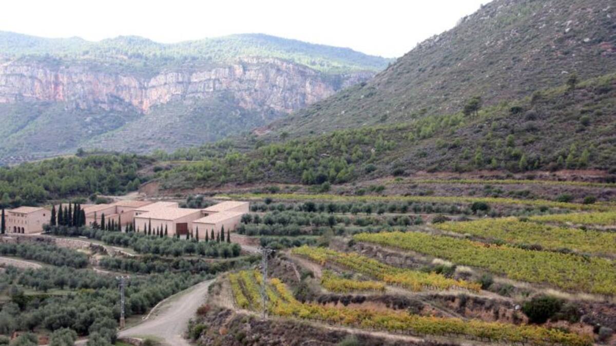 L'arribada de la xafogor