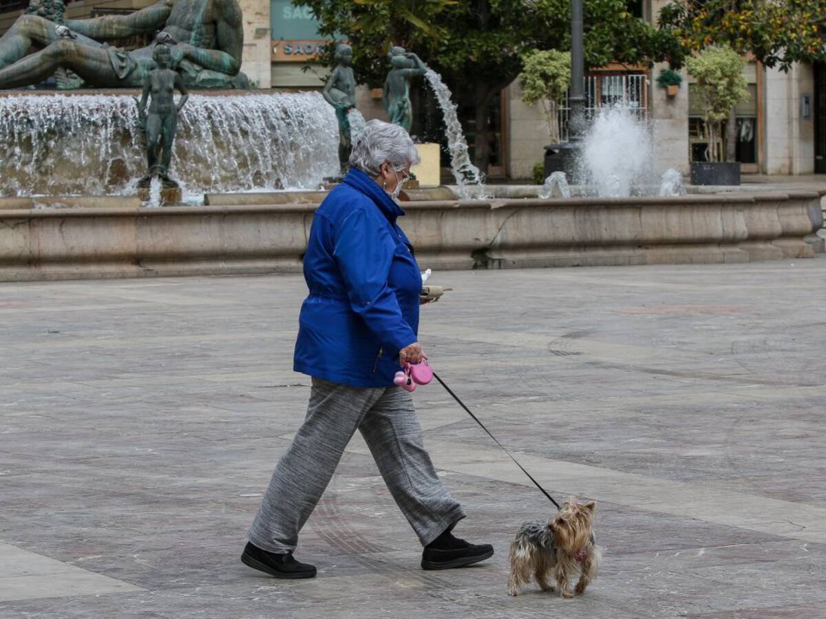 Primeras medidas para acotar los paseos con los perros