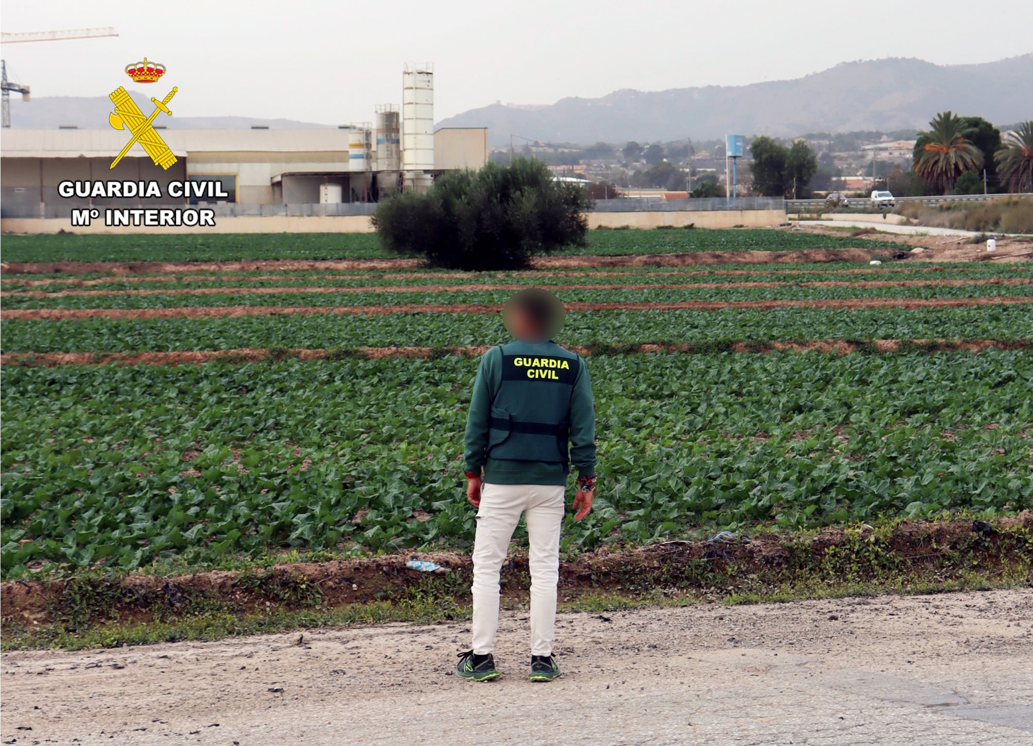 Agente de la Guardia Civil en la finca agrícola de Alhama de Murcia