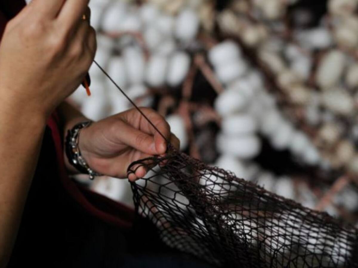 El Senado reconoce a rederas, neskatilas y empacadoras | 21-09-2015