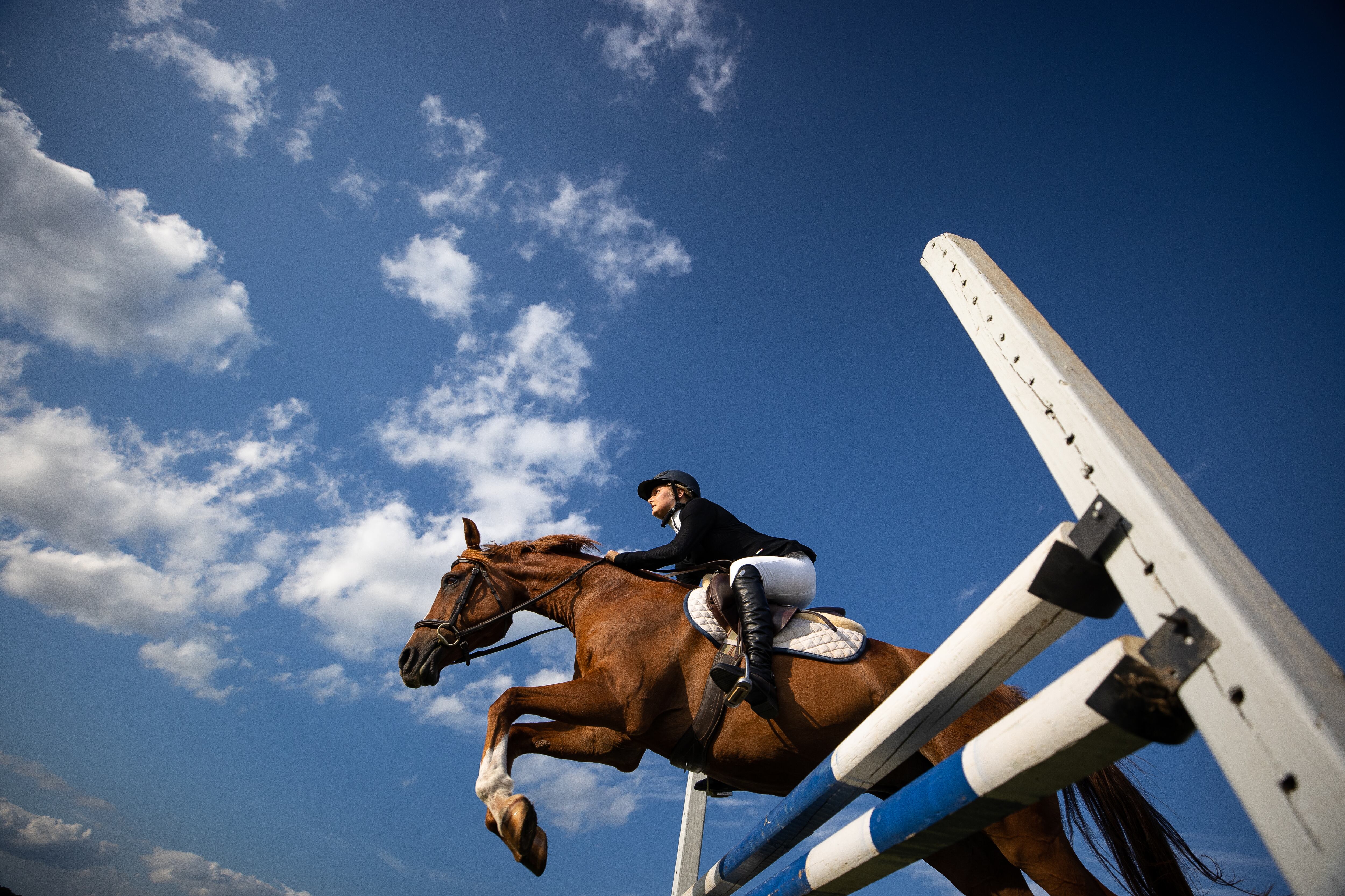 Una amazona salta un obstáculo en un Concurso Hípico