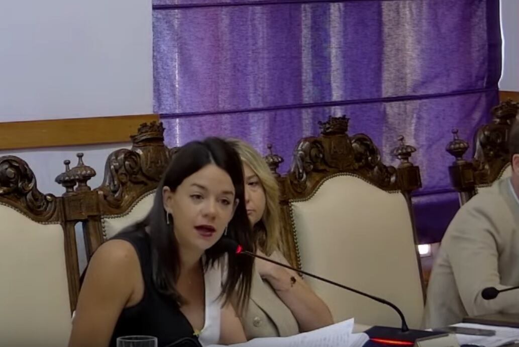 La concejala de igualdad en el Ayuntamiento de Jaén, María Segovia, en un pleno municipal