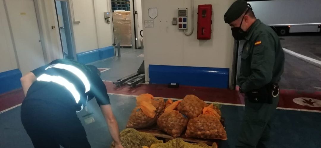 Pescado y marisco intervenido por la Guardia Civil.