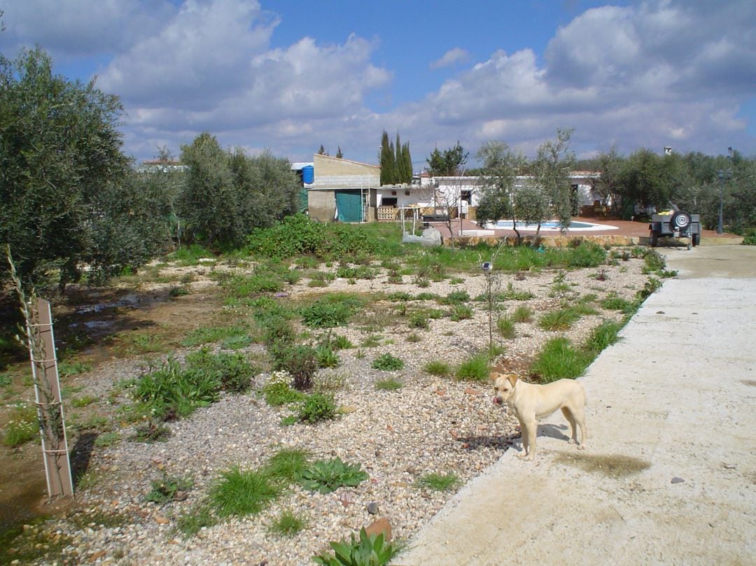 Parcela de Linares.