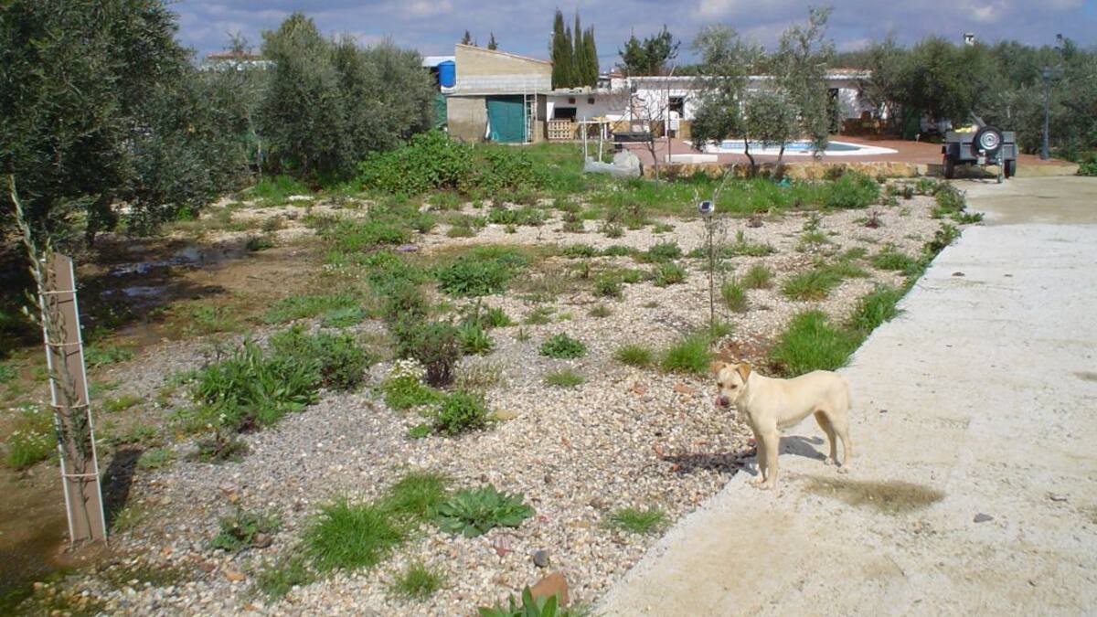 El pleno aborda la preocupación de propietarios de parcelas de Linares tras advertencia de la Junta