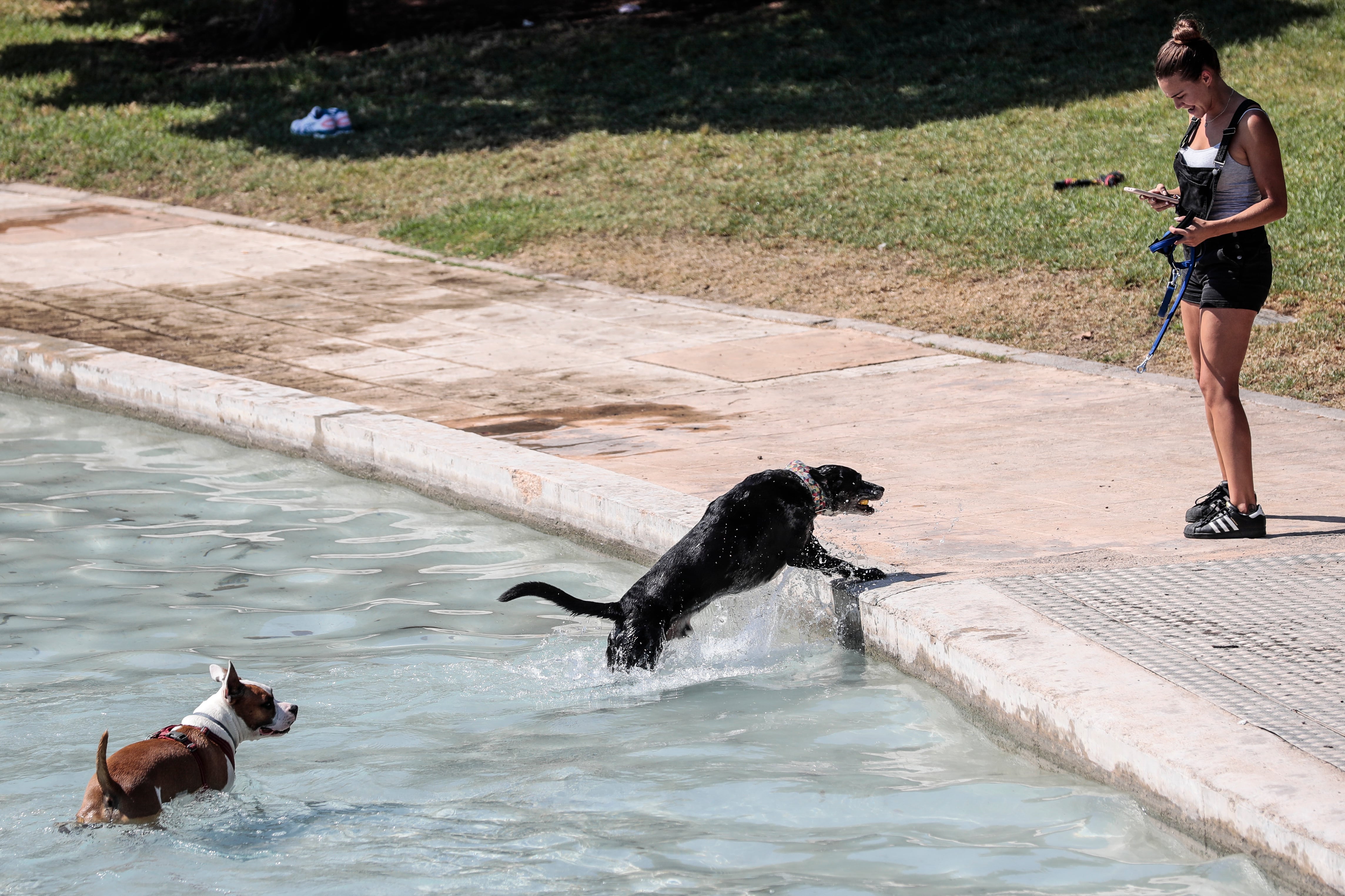 GRAFCVA7378. VALENCIA, 22/07/2022.- Una mujer toma una fotografía de sus perros bañándose en una fuente, este viernes en el Jardín del rio Turia de València. La Conselleria de Sanidad ha declarado el nivel de alerta sanitaria por ola de calor alto o extremo en municipios de once comarcas de la Comunitat Valenciana y ha advertido de que se esperan noches ecuatoriales o tórridas en localidades de otras ocho comarcas. EFE/Ana Escobar
