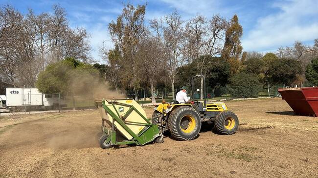 Jardín del tramo VI del río Turia