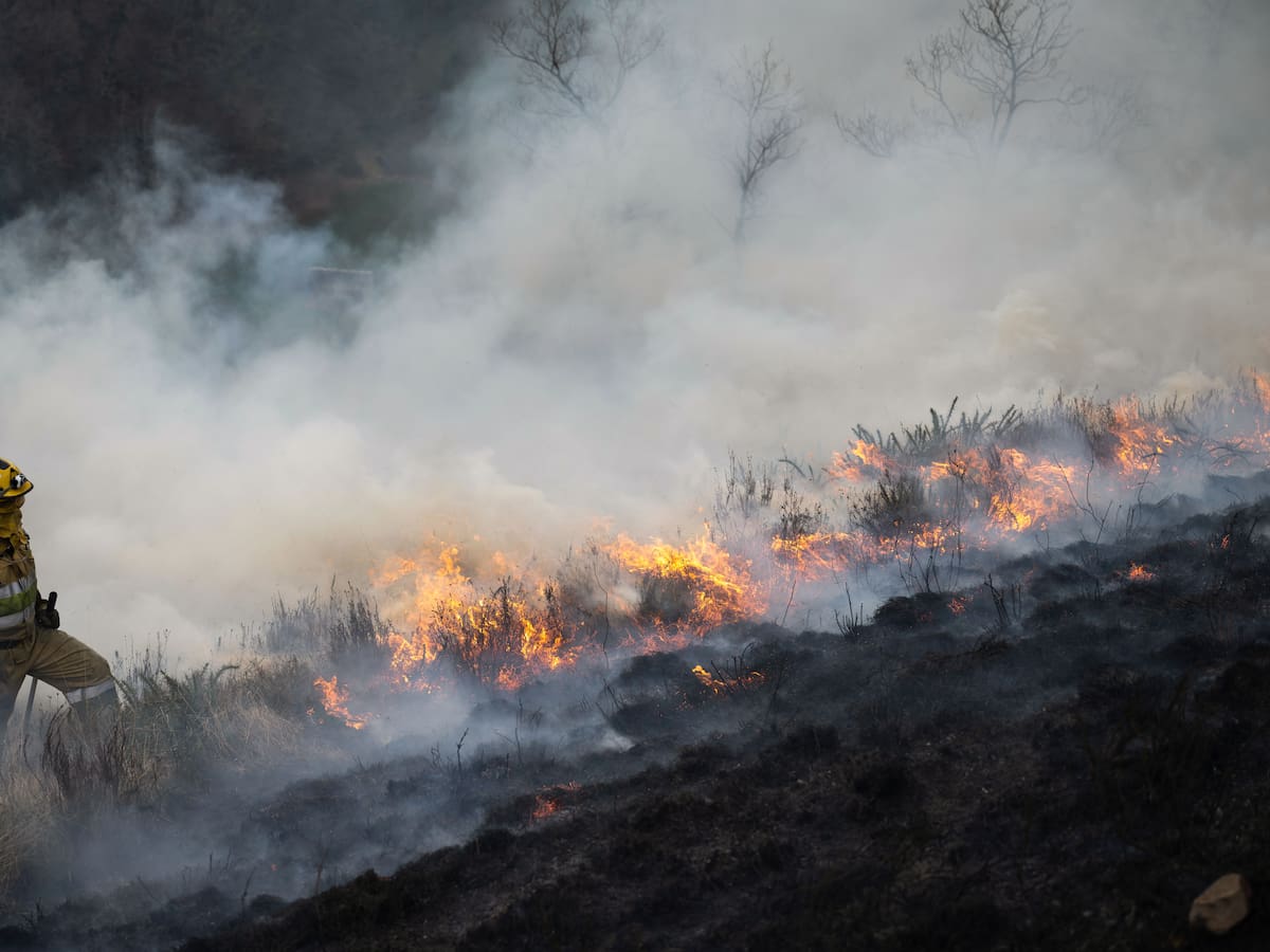 Faltan bomberos forestales para afrontar la temporada de incendios