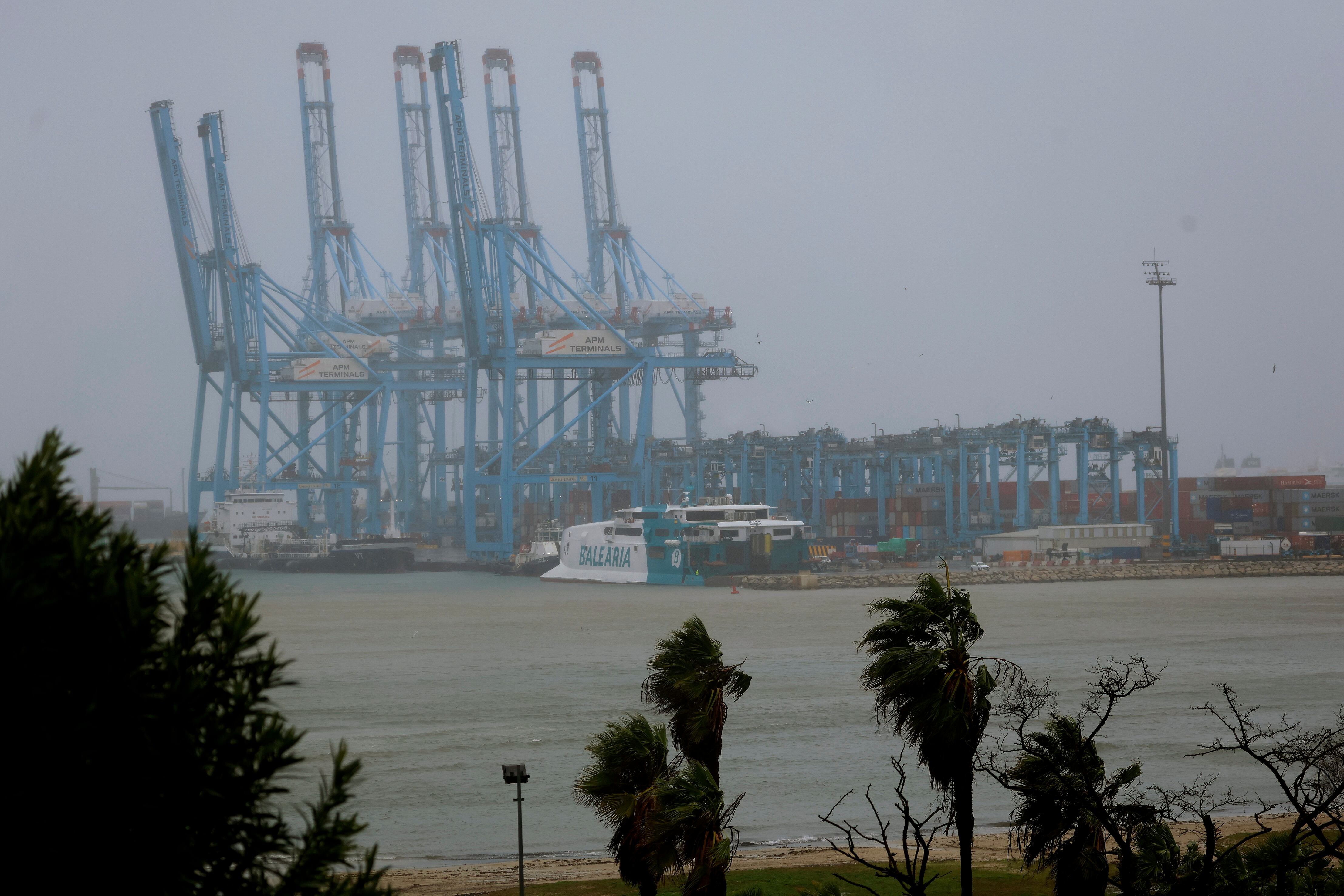 ALGECIRAS (CÁDIZ), 28/01/2026.- Las grúas de la terminal de Maersk en el puerto de Algeciras siguen paradas a la espera que amaine la borrasca Kristin que azota la zona del campo de Gibraltar, este miércoles. EFE/ A. Carrasco Ragel