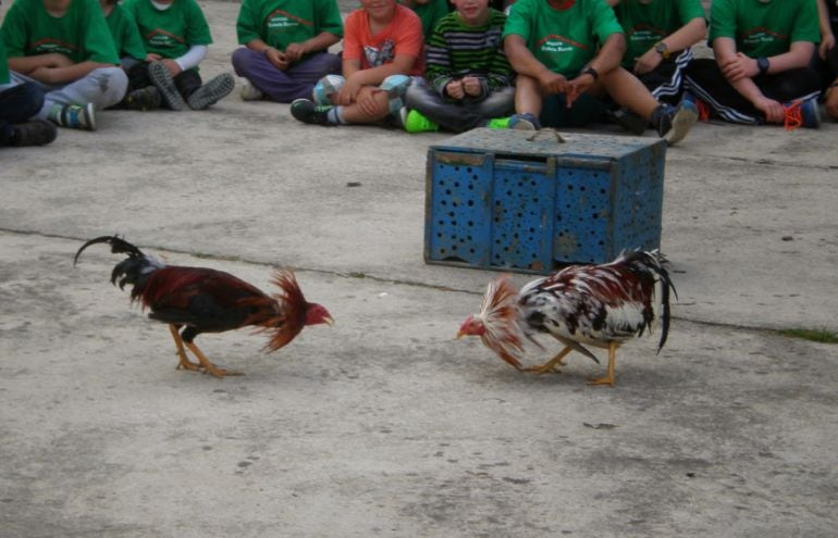 Imagen de uno de los números de &#039;Gorriti y sus animales&#039; con gallos.