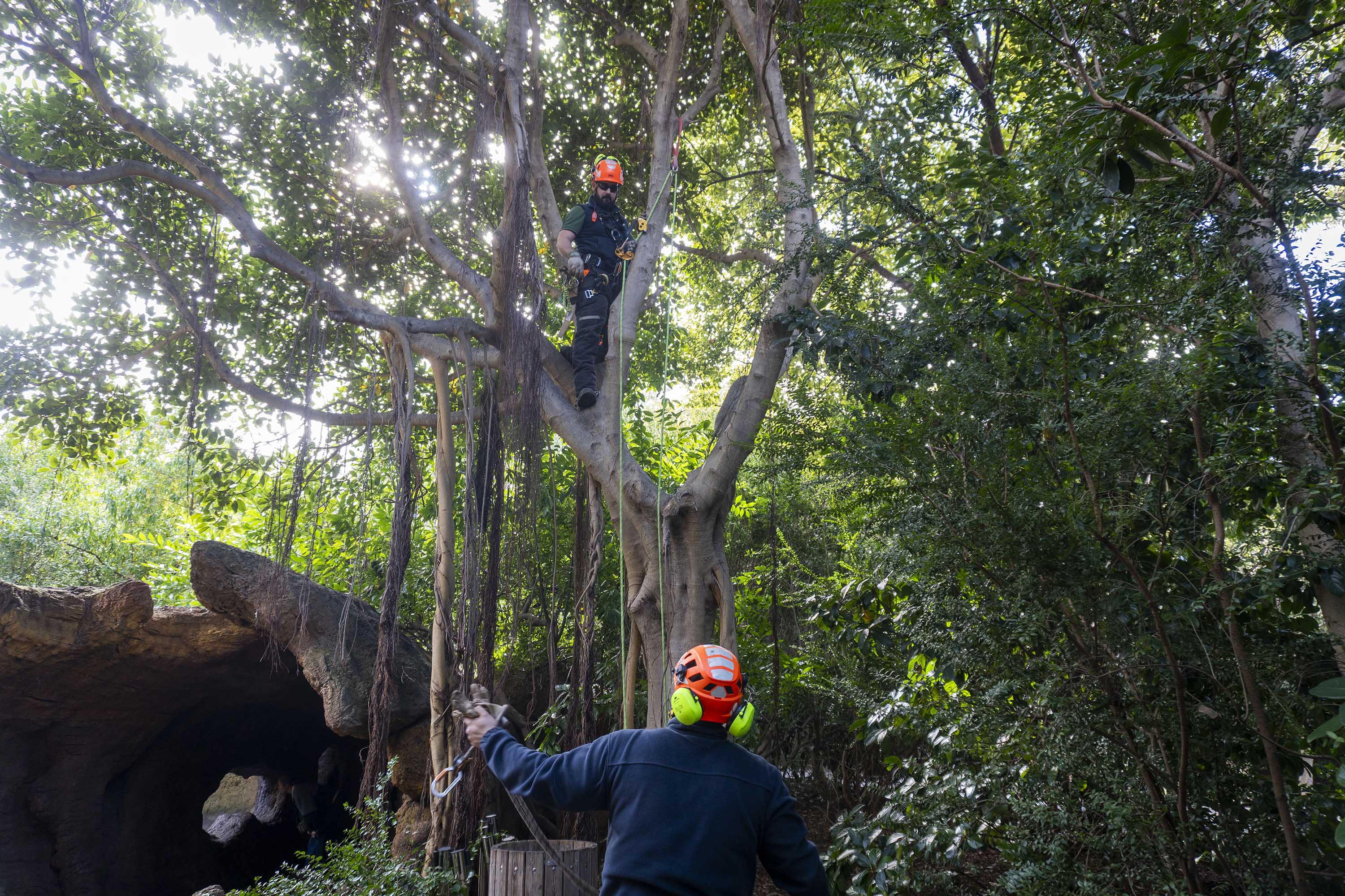 Equipo jardinería Bioparc Valencia