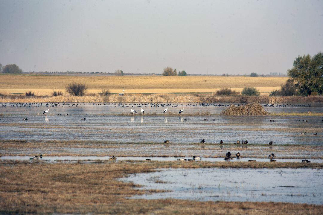 Laguna de La Nava