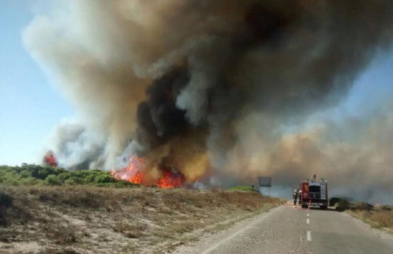 Imagen de uno de los incendios registrados en El Saler durante el verano de 2015