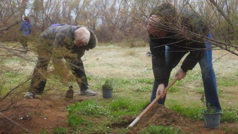 Elda y Petrer celebran el Día del Árbol