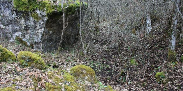 La hoz de Beteta es un espacio natural de gran humedad.