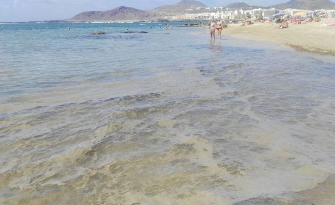 Microalgas en la Playa de Las Canteras de Las Palmas de Gran Canaria.