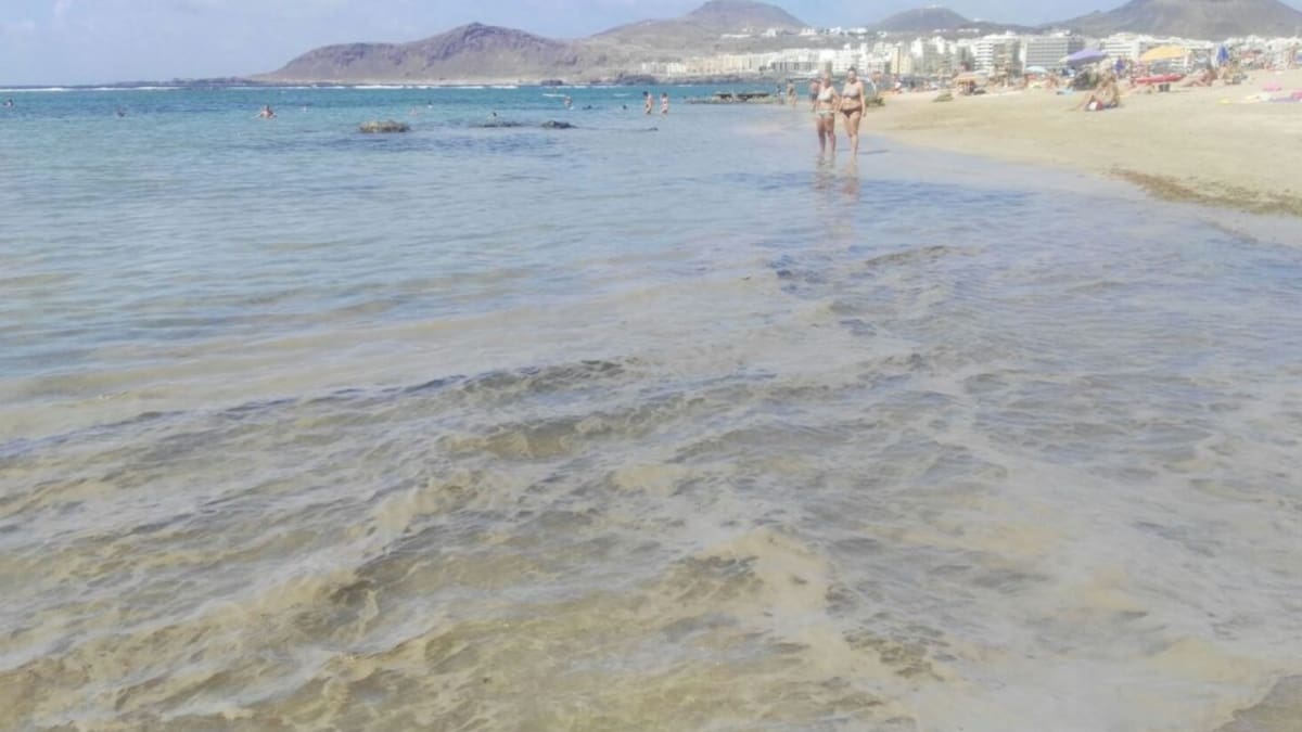 Vuelven las microalgas a Canarias: desaconsejan el baño en todas las playas de Candelaria