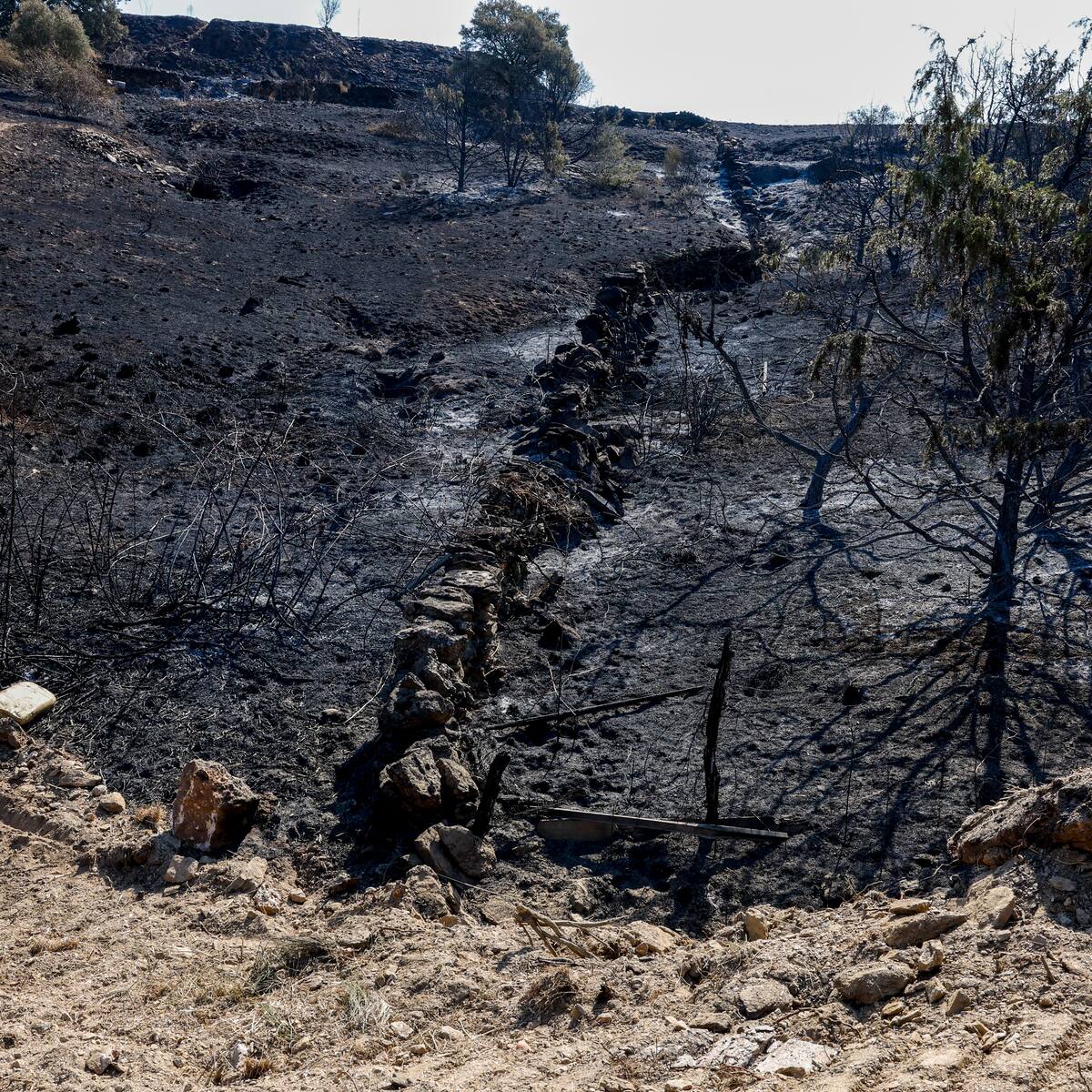 El bombero de El Molar fuera de servicio que sufrió quemaduras; “era más importante que el fuego no llegara a las viviendas”