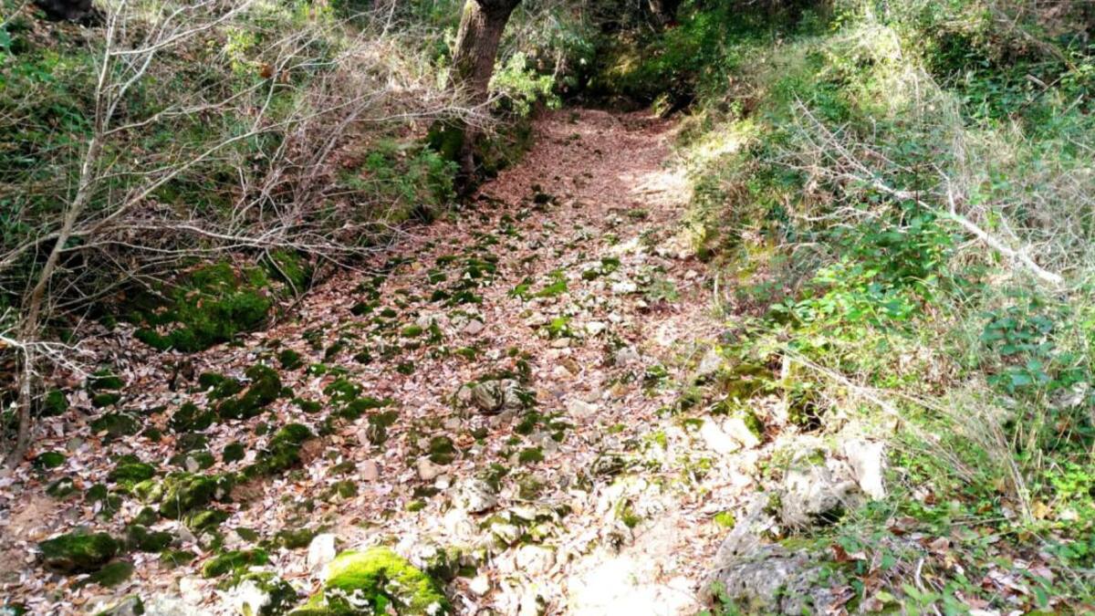 Día Mundial del Agua en el Campo de Gibraltar
