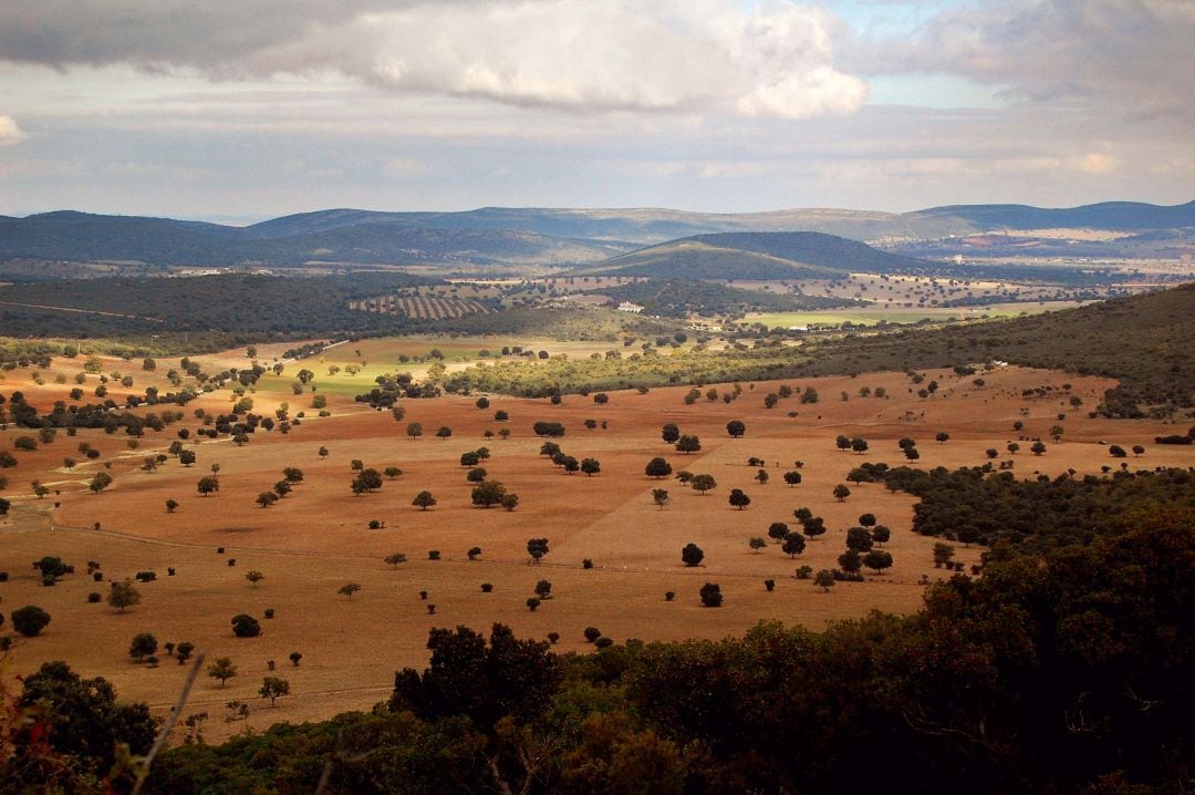 Imagen de los Montes de Toledo 